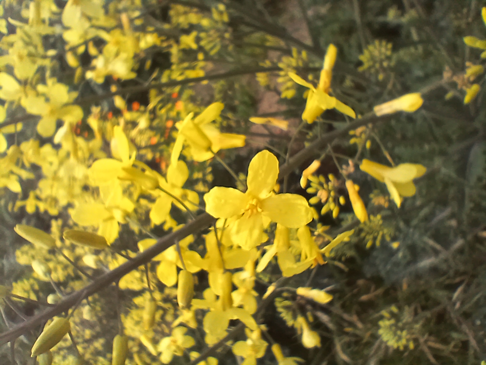 No s'ha trobat l'arxiu